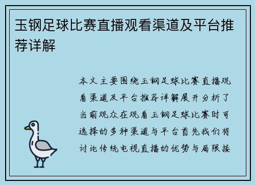 玉钢足球比赛直播观看渠道及平台推荐详解